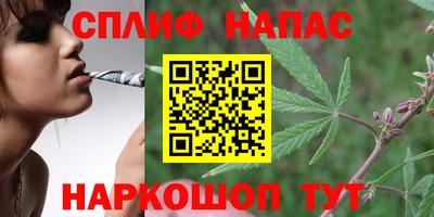 прущий лед Будённовск